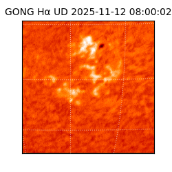 gong - 2025-11-12T08:00:02