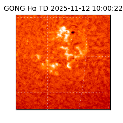 gong - 2025-11-12T10:00:22