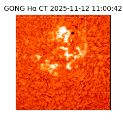 gong - 2025-11-12T11:00:42