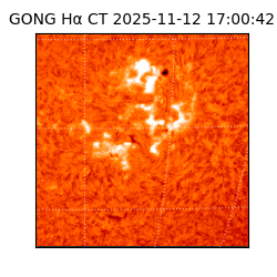 gong - 2025-11-12T17:00:42