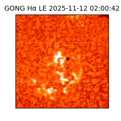 gong - 2025-11-12T02:00:42