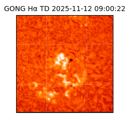 gong - 2025-11-12T09:00:22