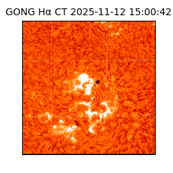 gong - 2025-11-12T15:00:42