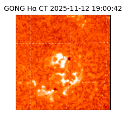 gong - 2025-11-12T19:00:42