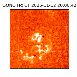 gong - 2025-11-12T20:00:42