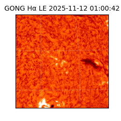 gong - 2025-11-12T01:00:42