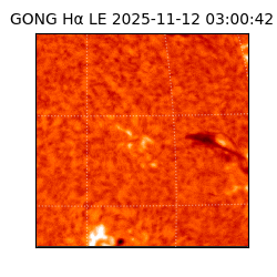 gong - 2025-11-12T03:00:42