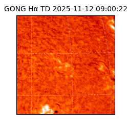 gong - 2025-11-12T09:00:22