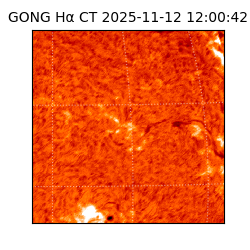 gong - 2025-11-12T12:00:42