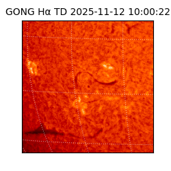 gong - 2025-11-12T10:00:22