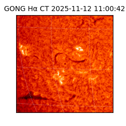 gong - 2025-11-12T11:00:42