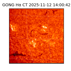 gong - 2025-11-12T14:00:42