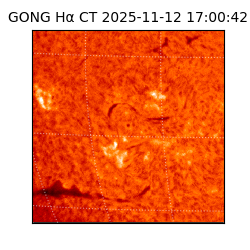 gong - 2025-11-12T17:00:42