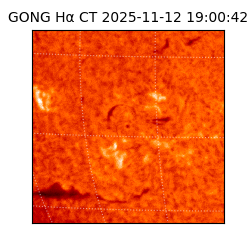 gong - 2025-11-12T19:00:42