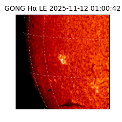 gong - 2025-11-12T01:00:42
