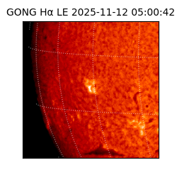 gong - 2025-11-12T05:00:42
