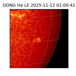 gong - 2025-11-12T01:00:42