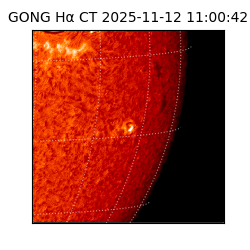 gong - 2025-11-12T11:00:42