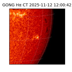 gong - 2025-11-12T12:00:42
