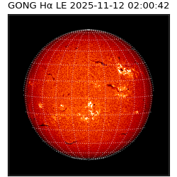 gong - 2025-11-12T02:00:42