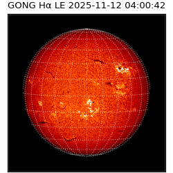 gong - 2025-11-12T04:00:42