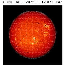 gong - 2025-11-12T07:00:42