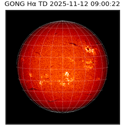 gong - 2025-11-12T09:00:22