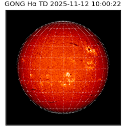 gong - 2025-11-12T10:00:22