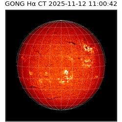 gong - 2025-11-12T11:00:42