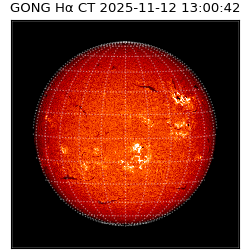 gong - 2025-11-12T13:00:42