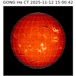 gong - 2025-11-12T15:00:42