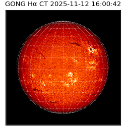 gong - 2025-11-12T16:00:42
