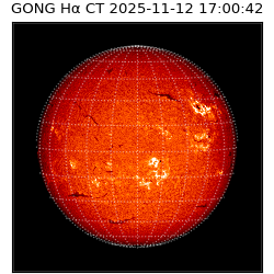 gong - 2025-11-12T17:00:42