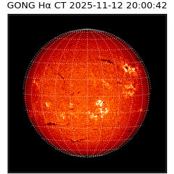 gong - 2025-11-12T20:00:42