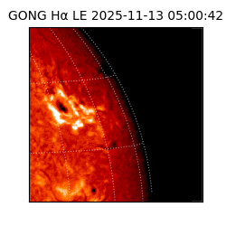 gong - 2025-11-13T05:00:42