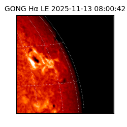gong - 2025-11-13T08:00:42