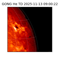 gong - 2025-11-13T09:00:22