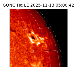 gong - 2025-11-13T05:00:42