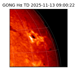 gong - 2025-11-13T09:00:22
