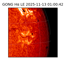 gong - 2025-11-13T01:00:42