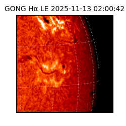 gong - 2025-11-13T02:00:42