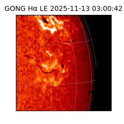 gong - 2025-11-13T03:00:42