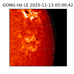 gong - 2025-11-13T05:00:42
