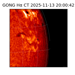 gong - 2025-11-13T20:00:42