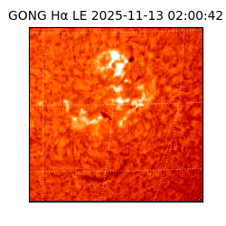 gong - 2025-11-13T02:00:42