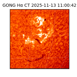 gong - 2025-11-13T11:00:42