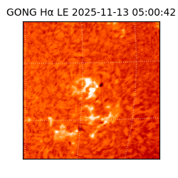 gong - 2025-11-13T05:00:42