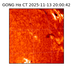 gong - 2025-11-13T20:00:42