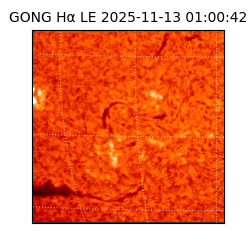 gong - 2025-11-13T01:00:42