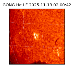 gong - 2025-11-13T02:00:42